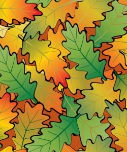 Autumn Oak Leaves